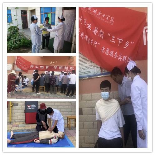 蚂蚁是几维生物-优质问答平台,解答你的疑惑